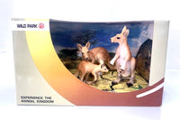 1402039 Wild Park - Kangaroos