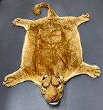 37693 Lioness Carpet Plush