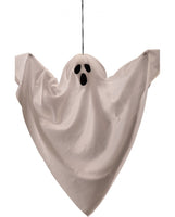 09310 Hanging Ghost