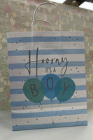 31205-2C  Baby Boy Gift Bag