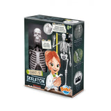 2180 Skeleton 45 cm