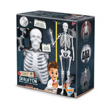 2181 Skeleton 85 cm