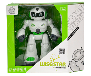 850858 Smart Robot