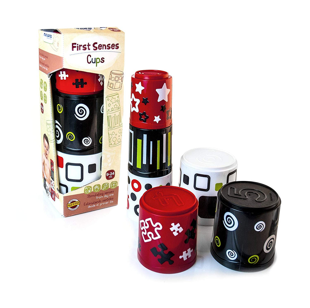 97311 First Senses Set