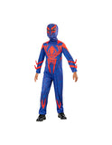 1000732 Spiderman 2099 Classic