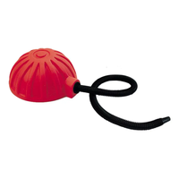 101012 Bellow Pump