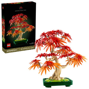 10348 Japanese Red Maple Bonsai Tree