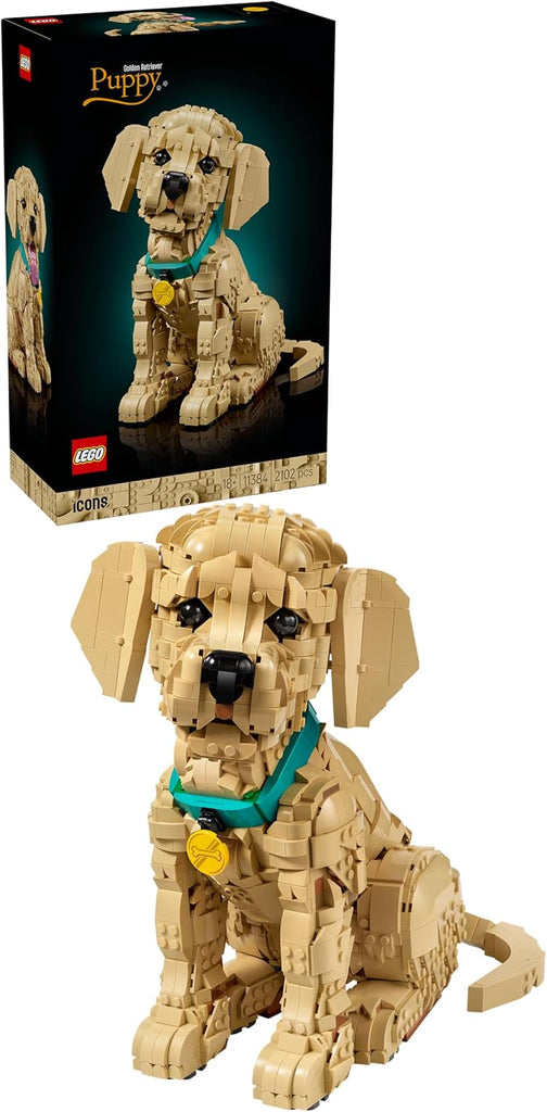 11384 Golden Retriever Puppy