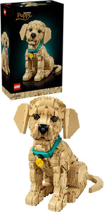 11384 Golden Retriever Puppy