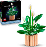 11504 Peace Lily