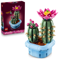 11509 Flowering Cactus