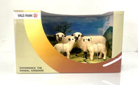 1402037 Wild Park - Sheep