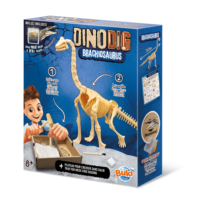 445BRA Dino Dig Brachiosaurus