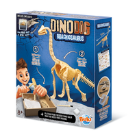 445BRA Dino Dig Brachiosaurus
