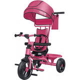 5619   GLOBO - Vitamin G Pink Tricycle 5 In 1