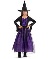 68906 Witch Costume