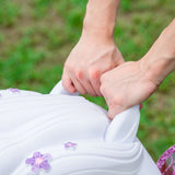 1018-08 My Fairy Princess Coupe