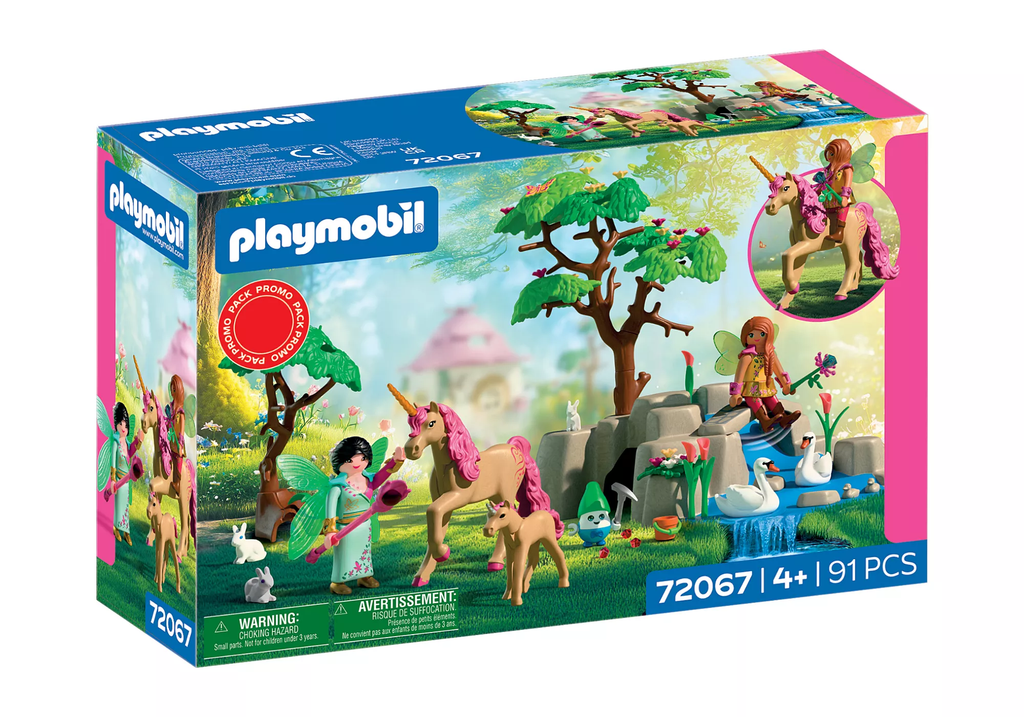 72067 Fairies' Day Trip