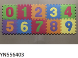 556403 Eva Mats