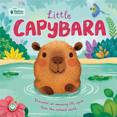 52056 Little Capybara