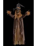 9648 Hanging scarecrow