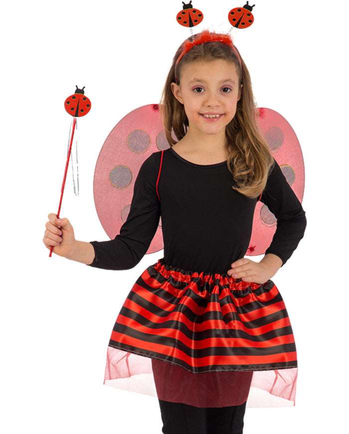 6439 Ladybug Set