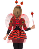 6439 Ladybug Set