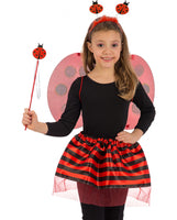 6439 Ladybug Set