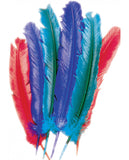 8199 Turkey Feathers