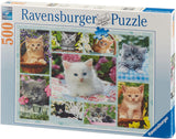 14196 Kitten In A Basket Jigsaw Puzzle (500 Pieces)
