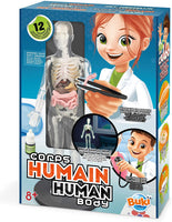 2163 Human Body