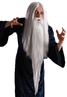 2401 Magician Wig