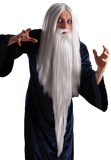 2401 Magician Wig