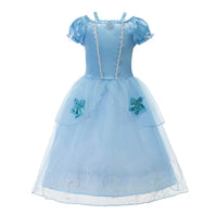 0686 Cinderella Costume