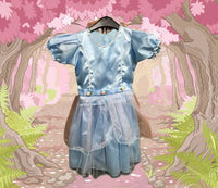 814550 Fairy Princess Costume